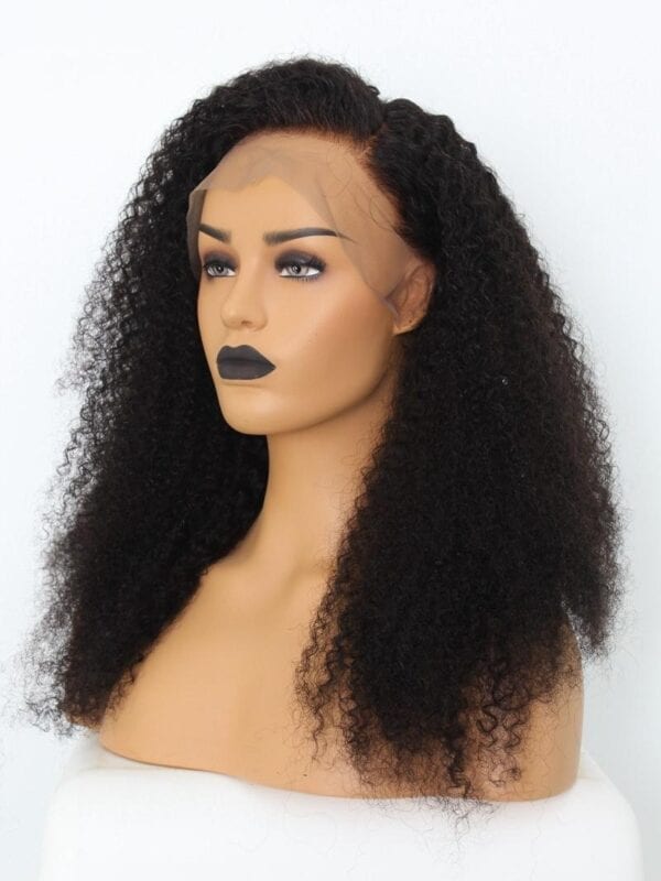 Kinky Curly Wig